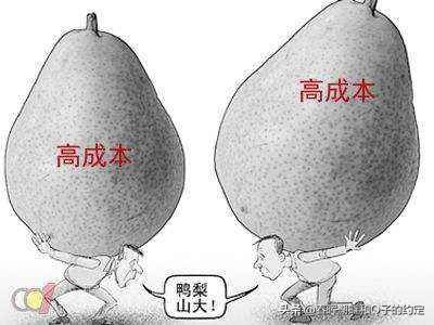 合资车七八万性价比高,合资车二手六七万