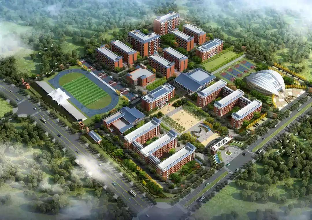 滨海新区未来10年发展,滨海新区人口近十年变化