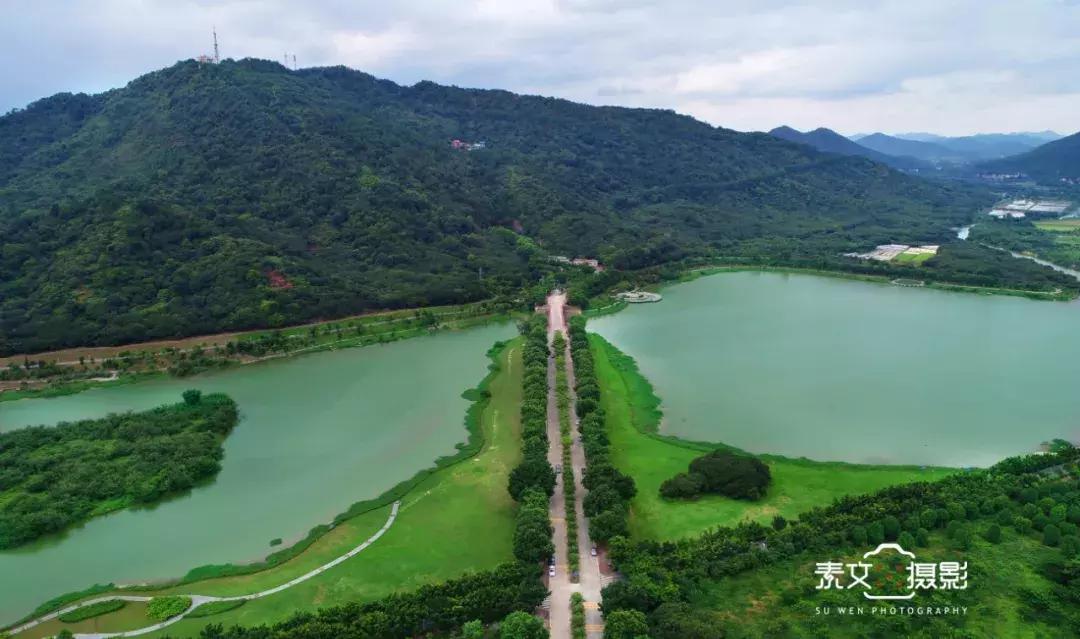 广州从化赛马会,广州从化站赛马会