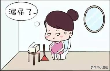 「盆底康复」被忽视的盆底让女人尴尬且难受