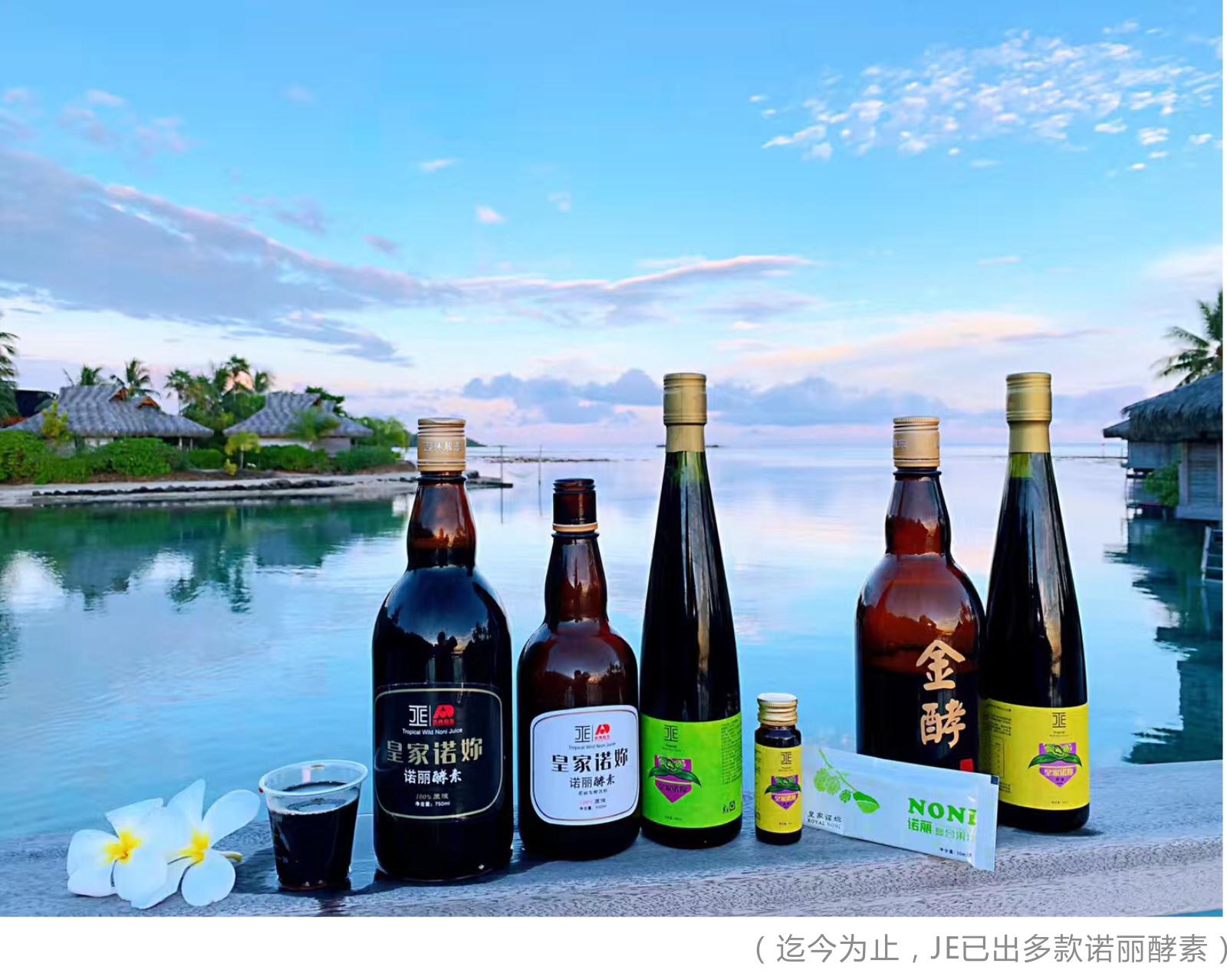 旅游达人崔珍琳,旅行者崔珍琳