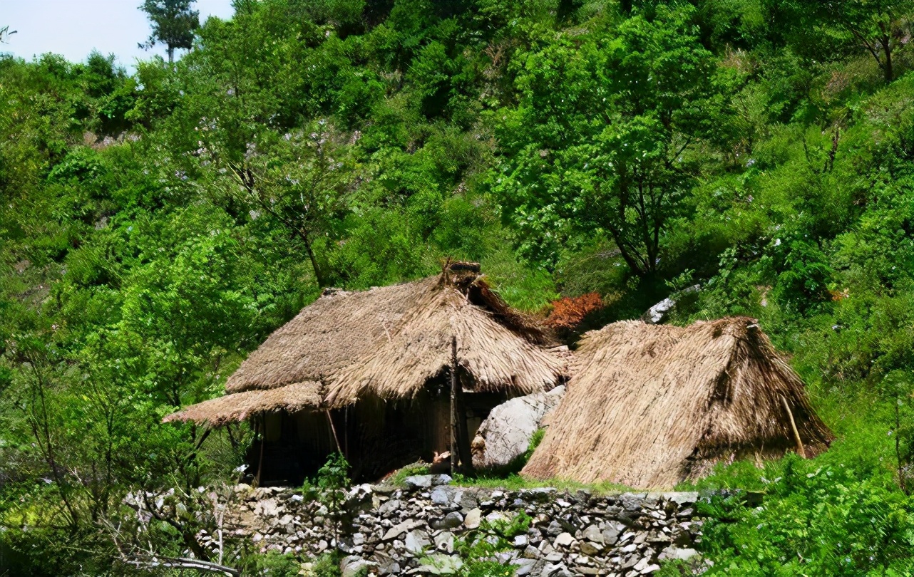 真实版“世外桃源”：六口之家与世隔绝，被发现时没有户口