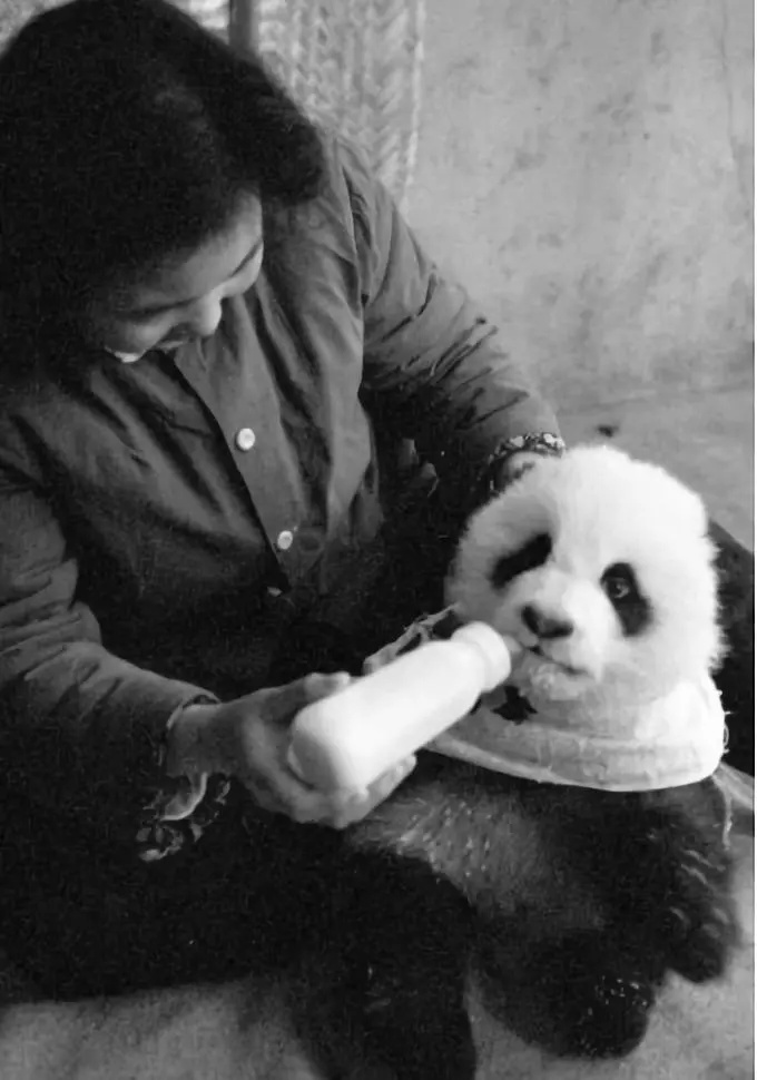 壮丽70年！四川首创的这些“新中国第一”！