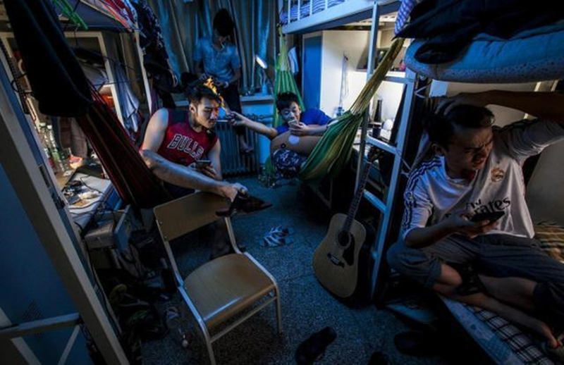 z涓栦唬鍏ヨ亴,z涓栦唬鍏ヨ亴娲诲姩