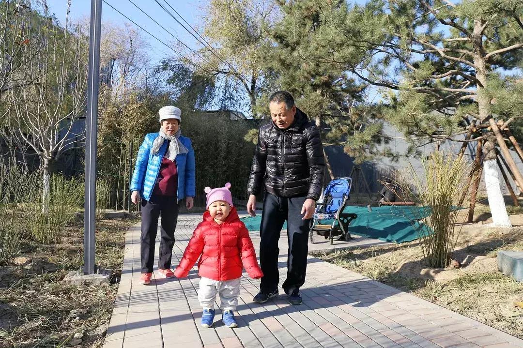 西城新建口袋公园,打造口袋公园绿地