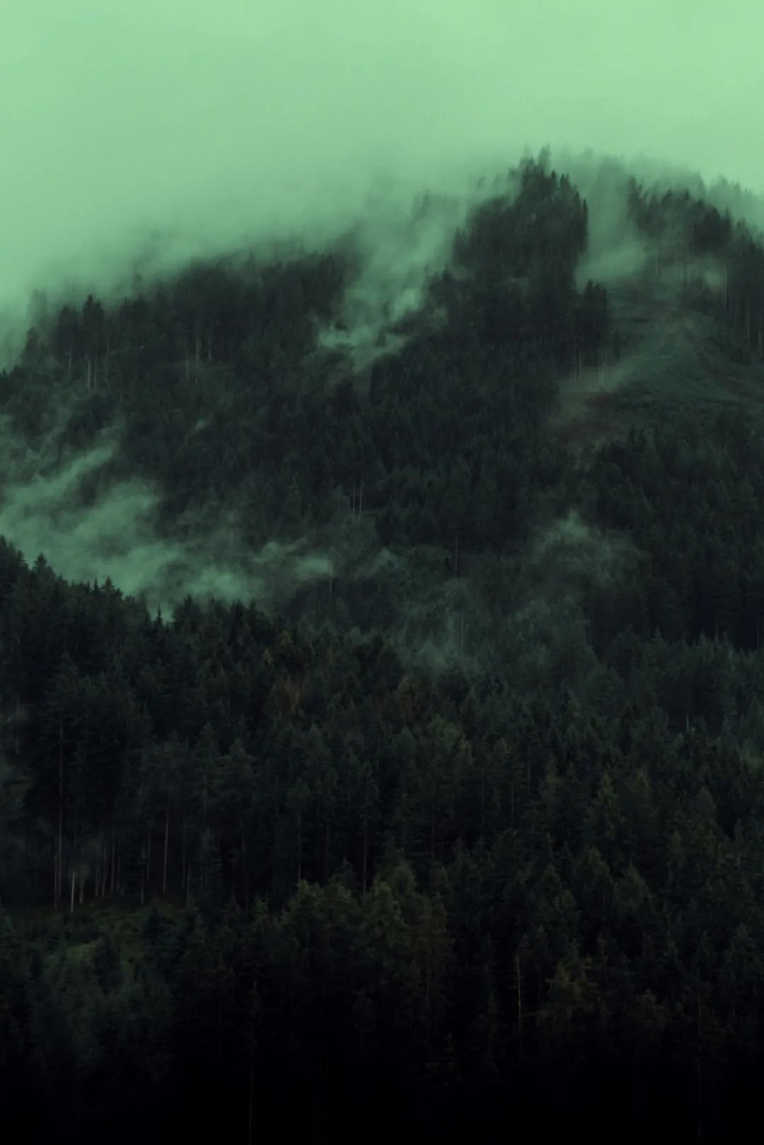 ins风暗黑小众照片,暗黑风ins图