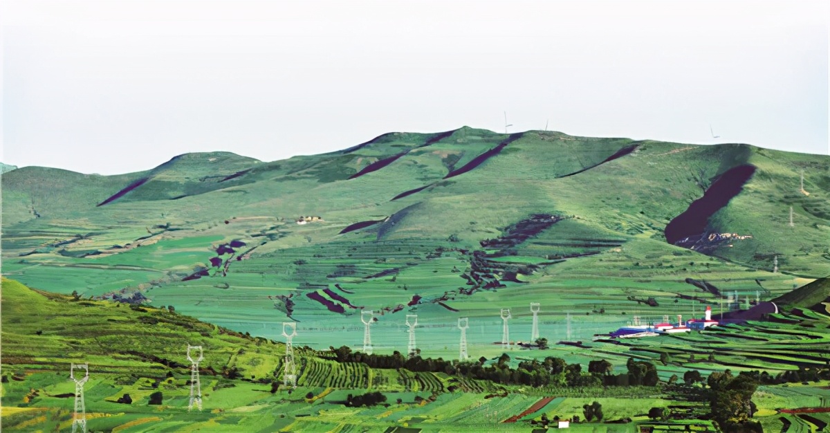 晋能控股48条特别规定的内容,晋能控股的十八个维度