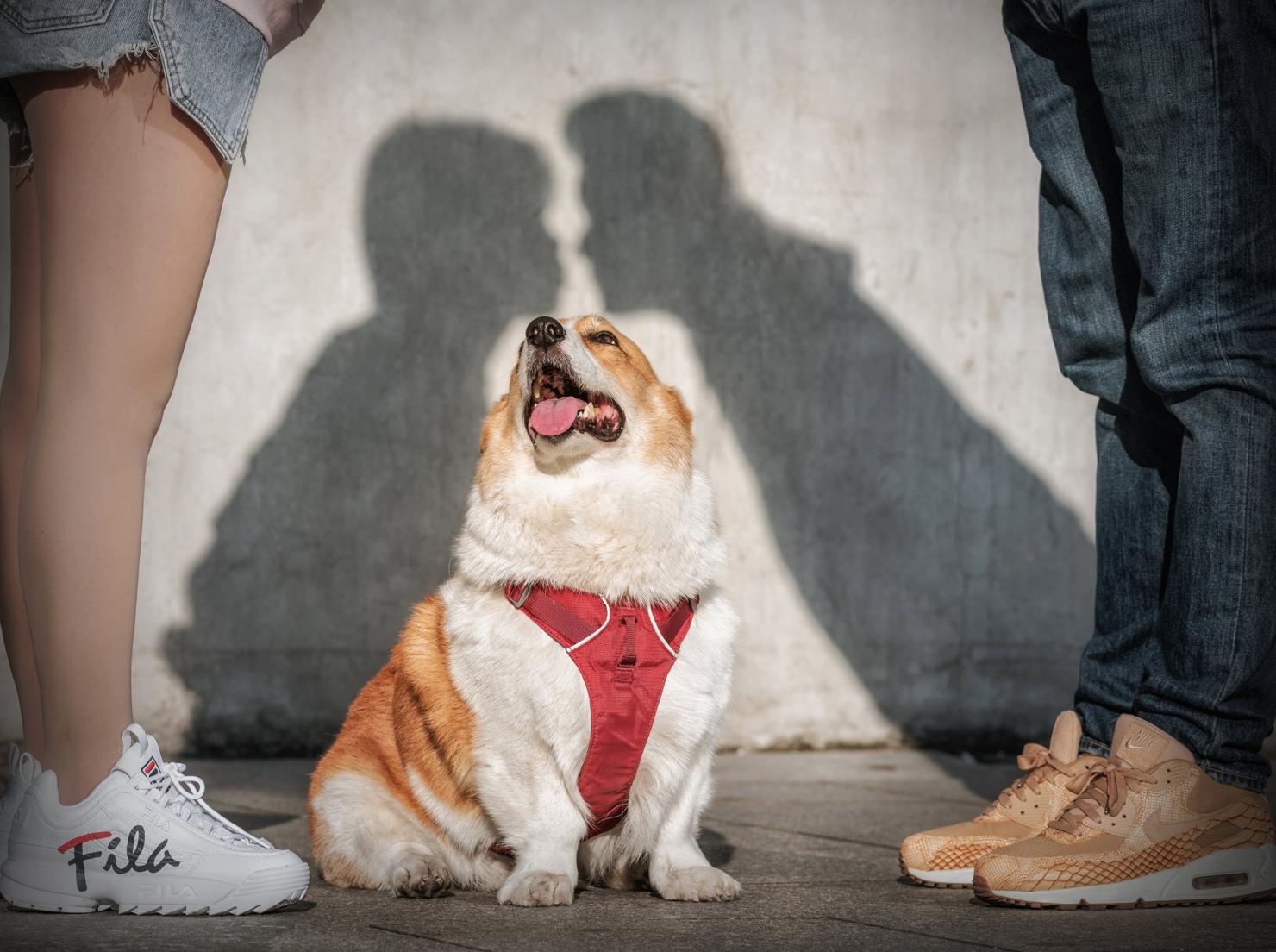 提高审美｜推荐10大中外人像摄影大神
