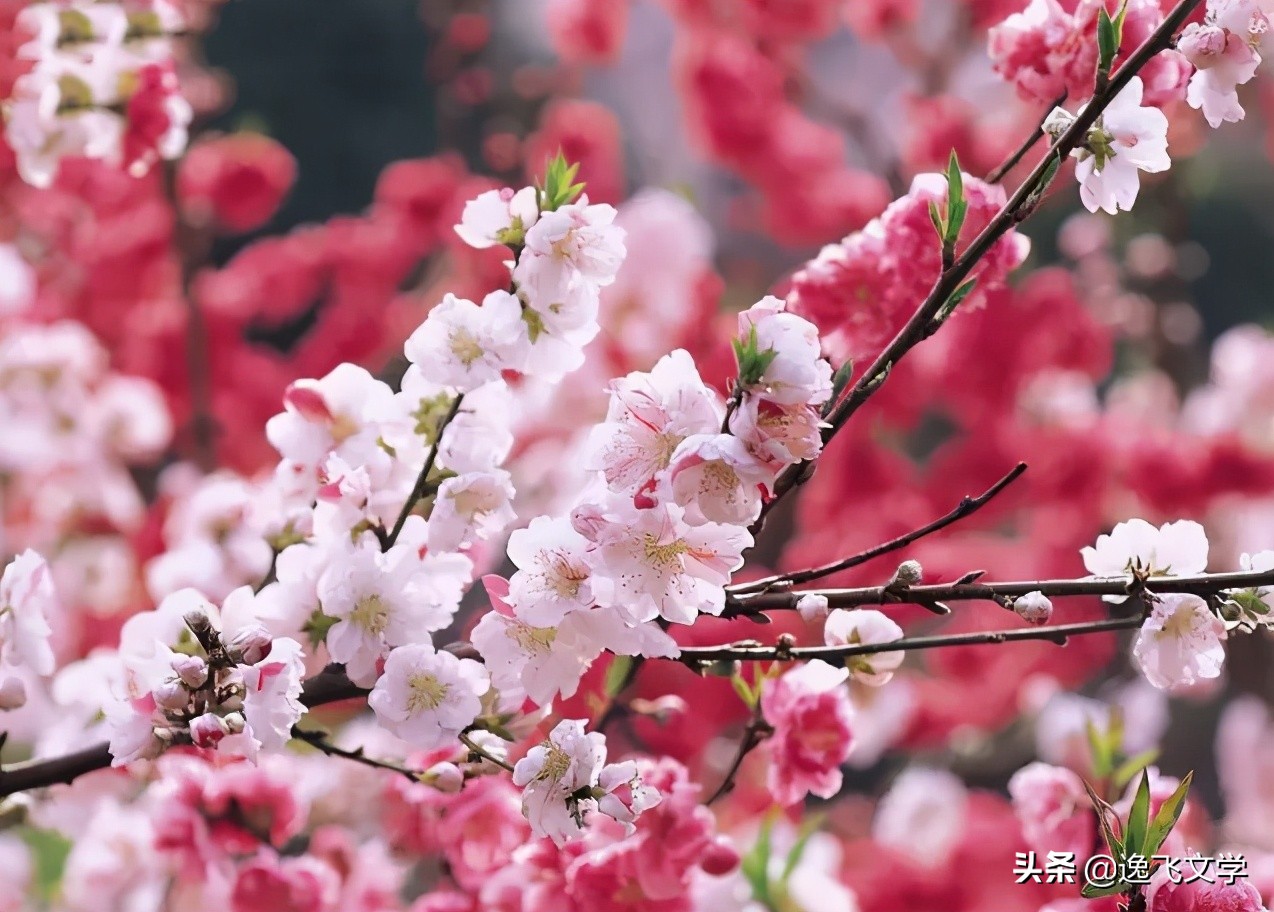 人生意境感悟,人生意境和感悟