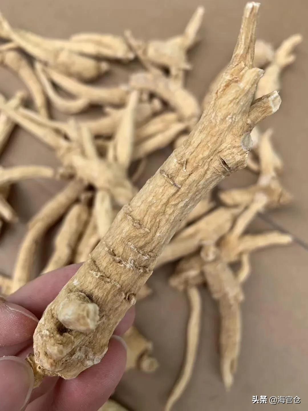 西洋参怎么泡水喝可以治咳嗽,冬季西洋参茶的正确喝法