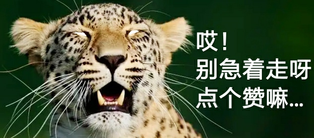 30个关于动物的冷知识,关于动物的冷知识50字