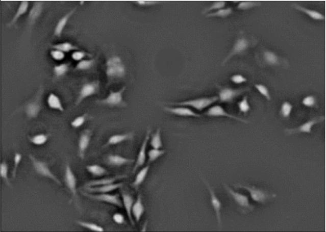 大学生实验室显微镜,大学生发明的黑科技