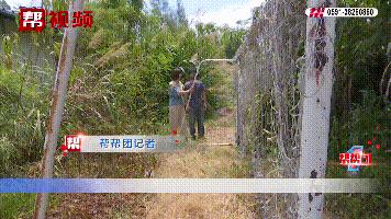 3岁女童被倒下足球门砸死,学校球架倒塌砸死3岁女童