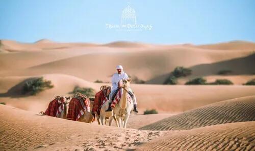 迪拜旅游景点攻略图大全,迪拜周围景点旅游攻略大全