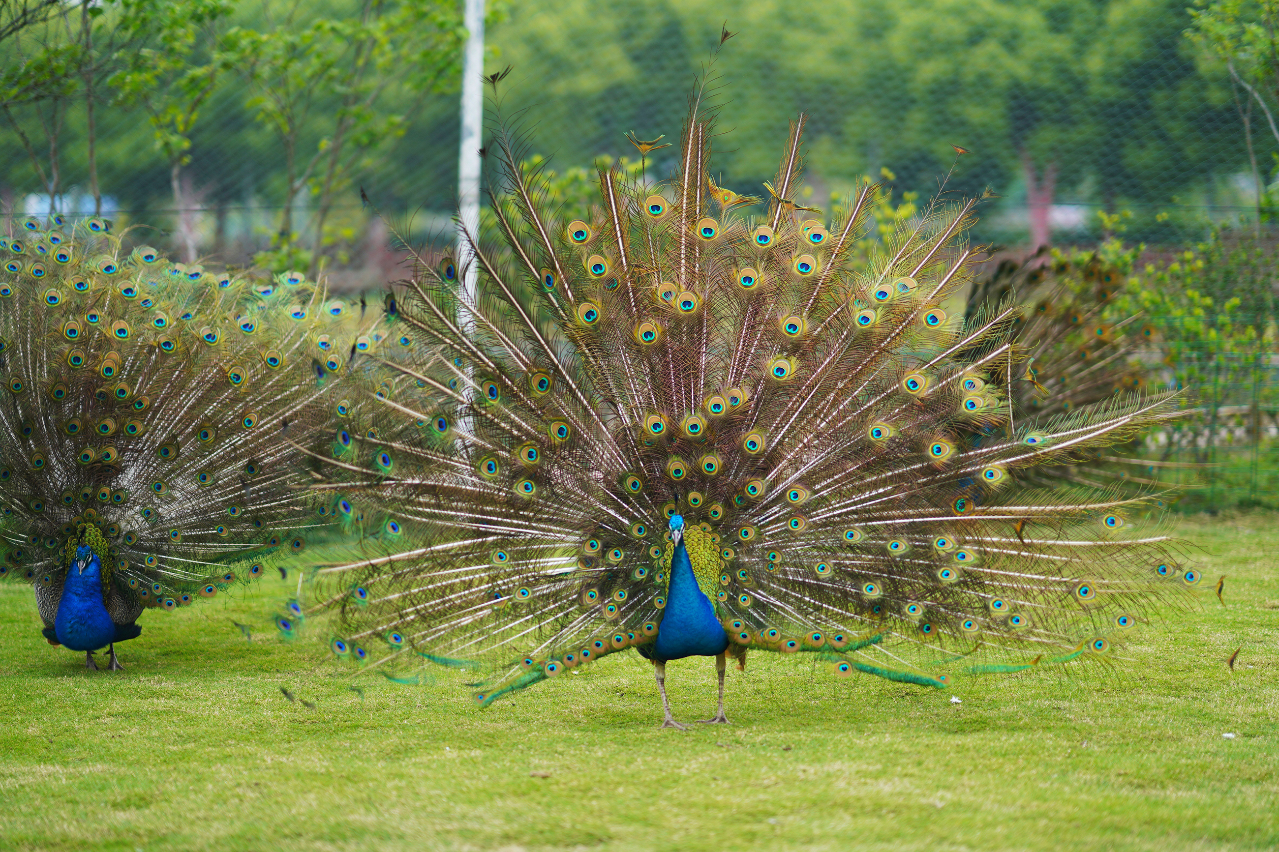 送你一份不走寻常路的苏州攻略，田园风民宿+文艺小清新打卡地