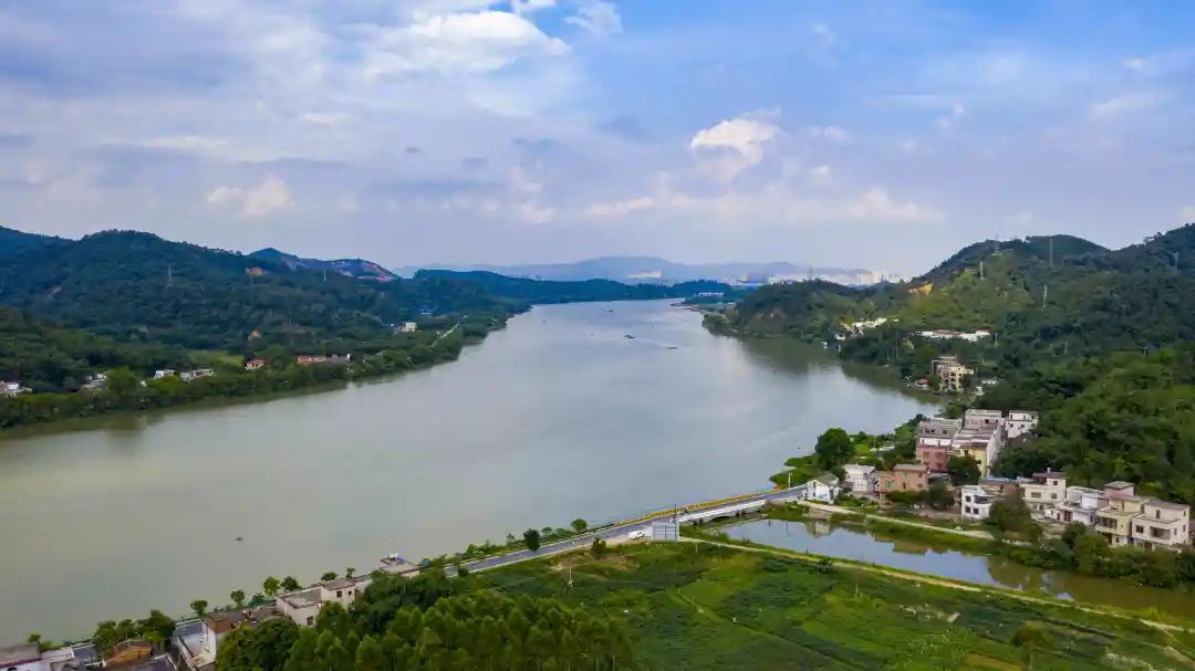 四会为什么发展这么好,四会市现状