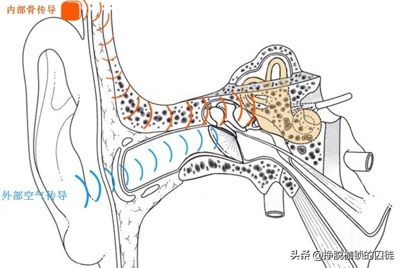 为什么听录音会觉得自己声音难听,为什么录音比自己真实的声音难听