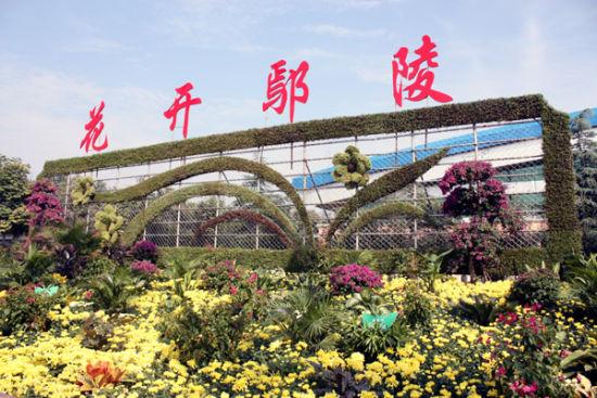 蓝城康养产业园,蓝城健康产业园项目