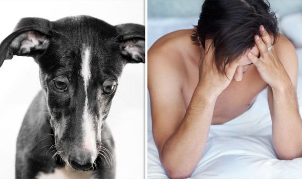 生育率提升生殖健康要重视,生育率下降动物