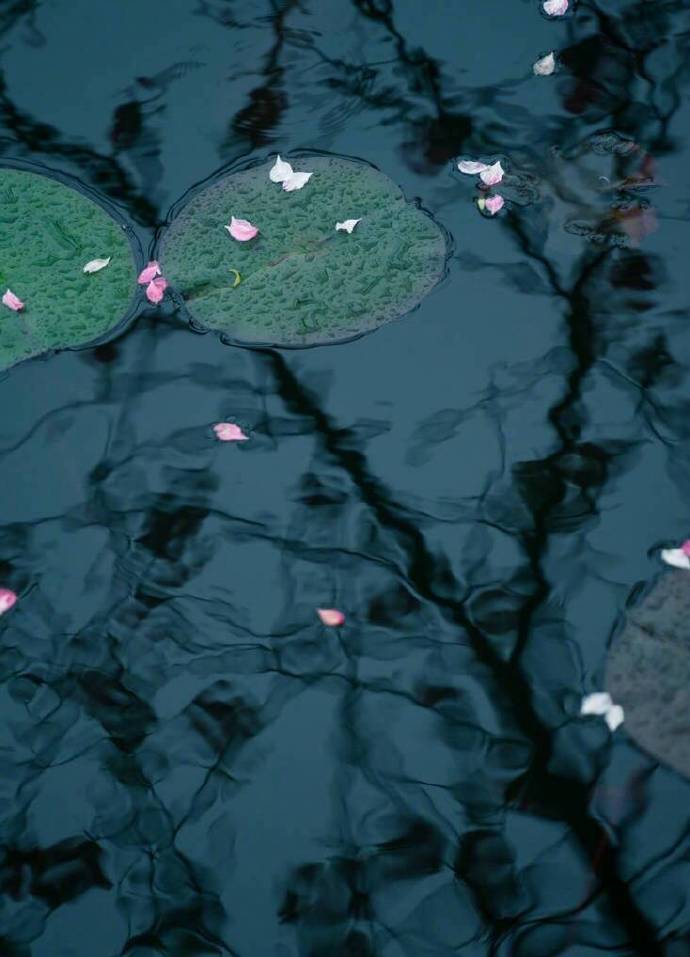 书信、酒、月亮、太阳、银河的雅称,你都听过吗?收藏学习