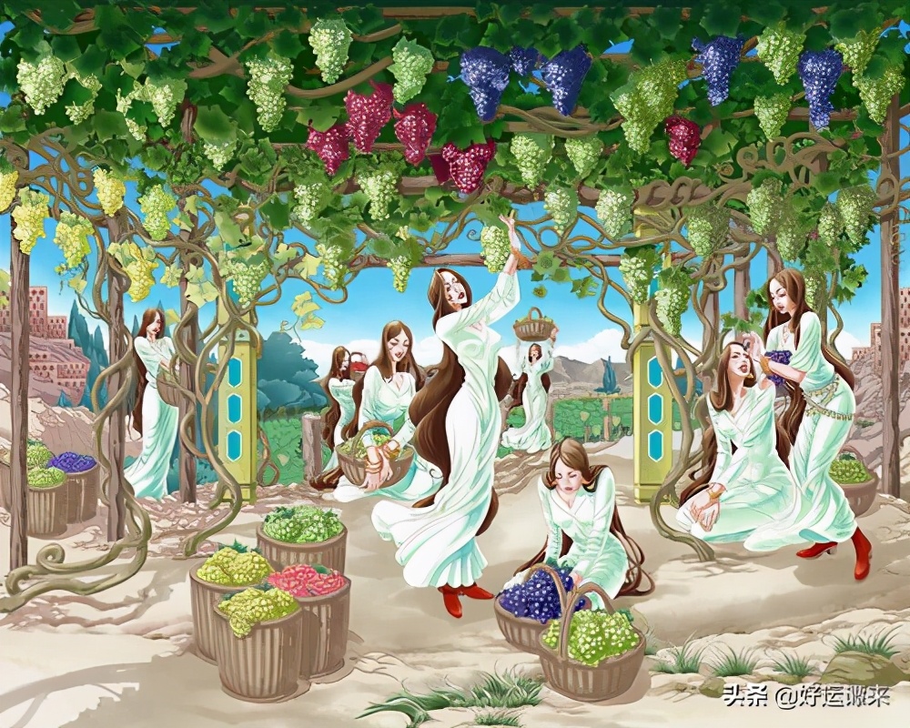 疆巧味树上黄葡萄干500克,疆艺黑麦坚果列巴葡萄干面包