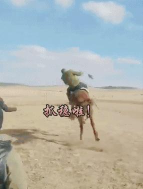 开心图文高清图片,开心图文原创