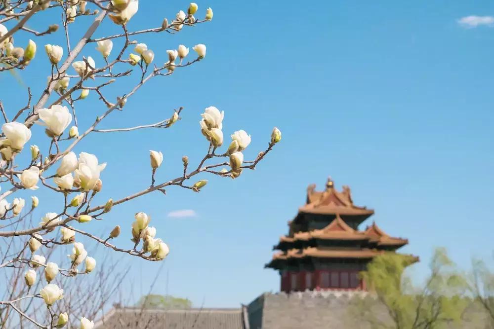 一个新的社群怎样对别人才有价值,社群里到底应该跟什么样的人交往