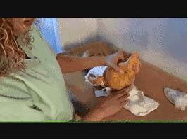 帮宝宝换尿不湿的正确方法,怎样给宝宝换尿不湿时不吐奶