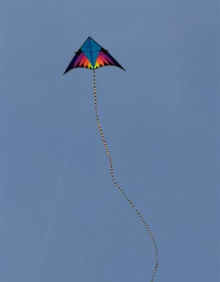 潇洒的奶奶是怎么来的,洒脱的老奶奶舞蹈视频