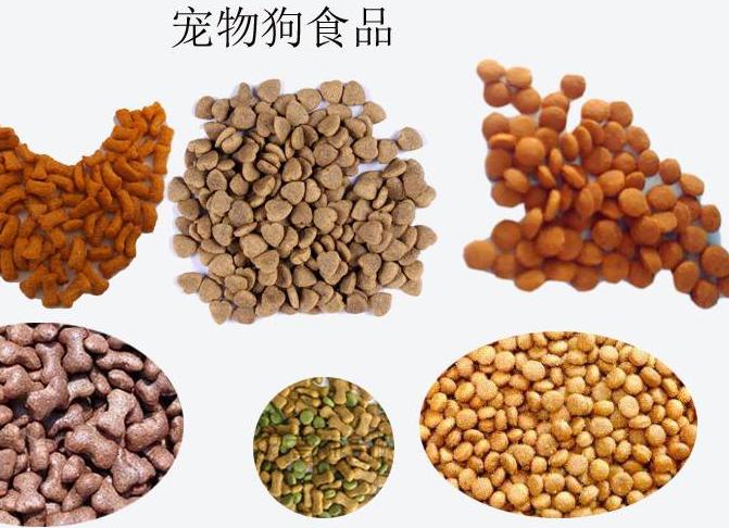 萨摩耶泪痕由来,萨摩耶有泪痕吃什么