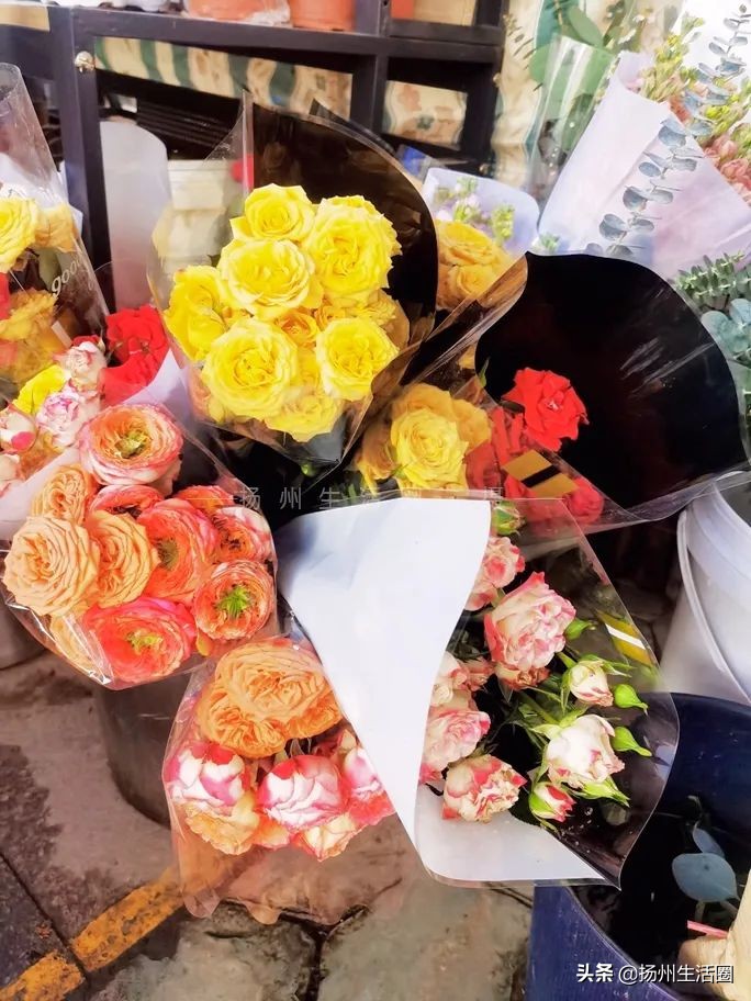 扬州花卉市场大全,扬州西区花卉市场