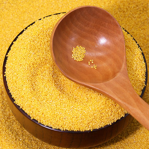 煮的小米粥颜色不黄亮是咋回事,小米粥不放碱能熬出米油吗