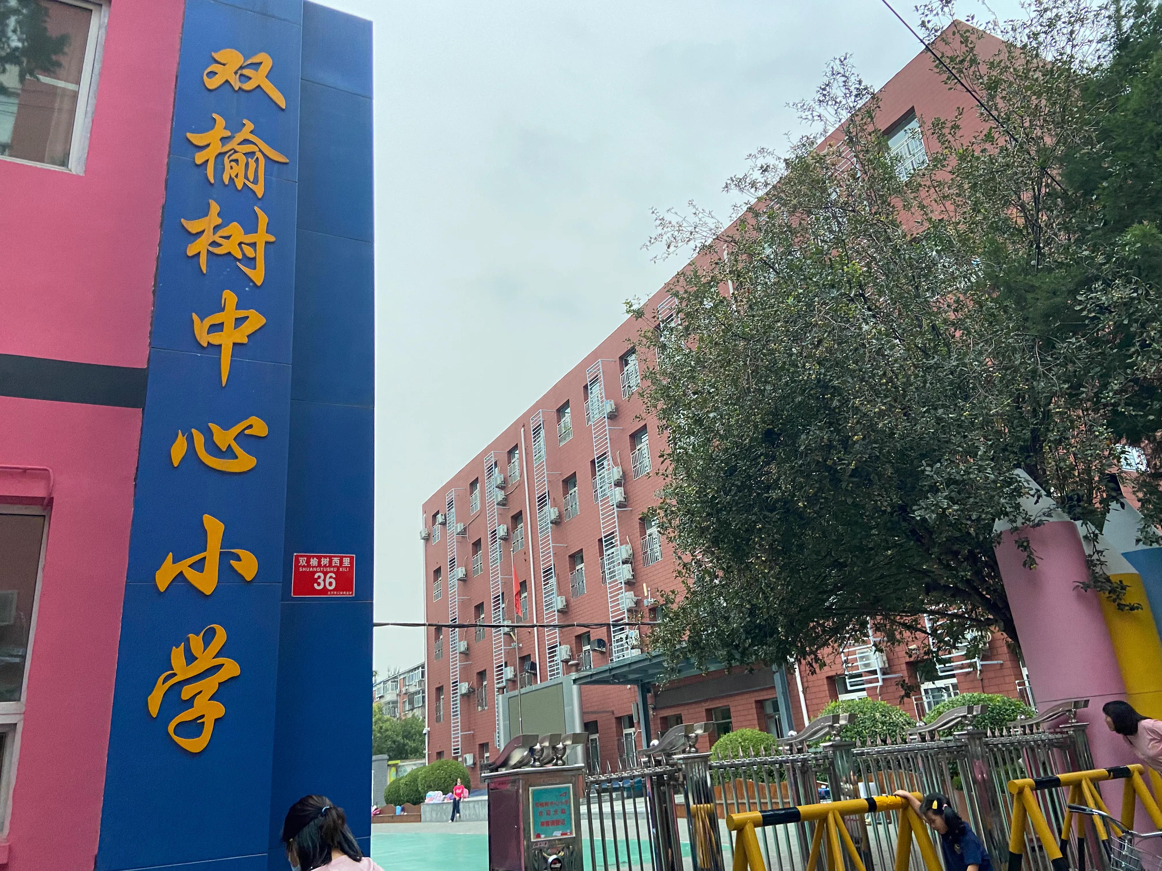 海淀双榆树价格,北京海淀区双榆树