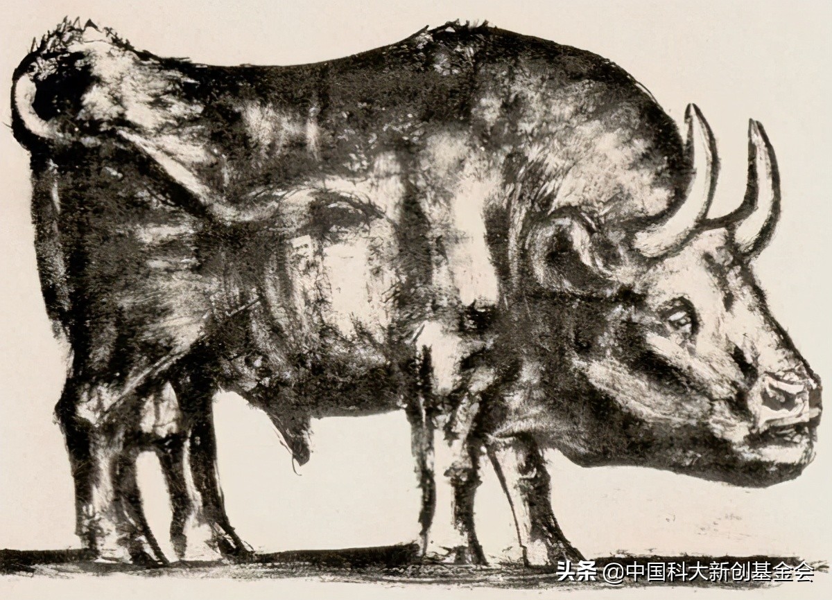 毕加索与公牛,毕加索与公牛第二集