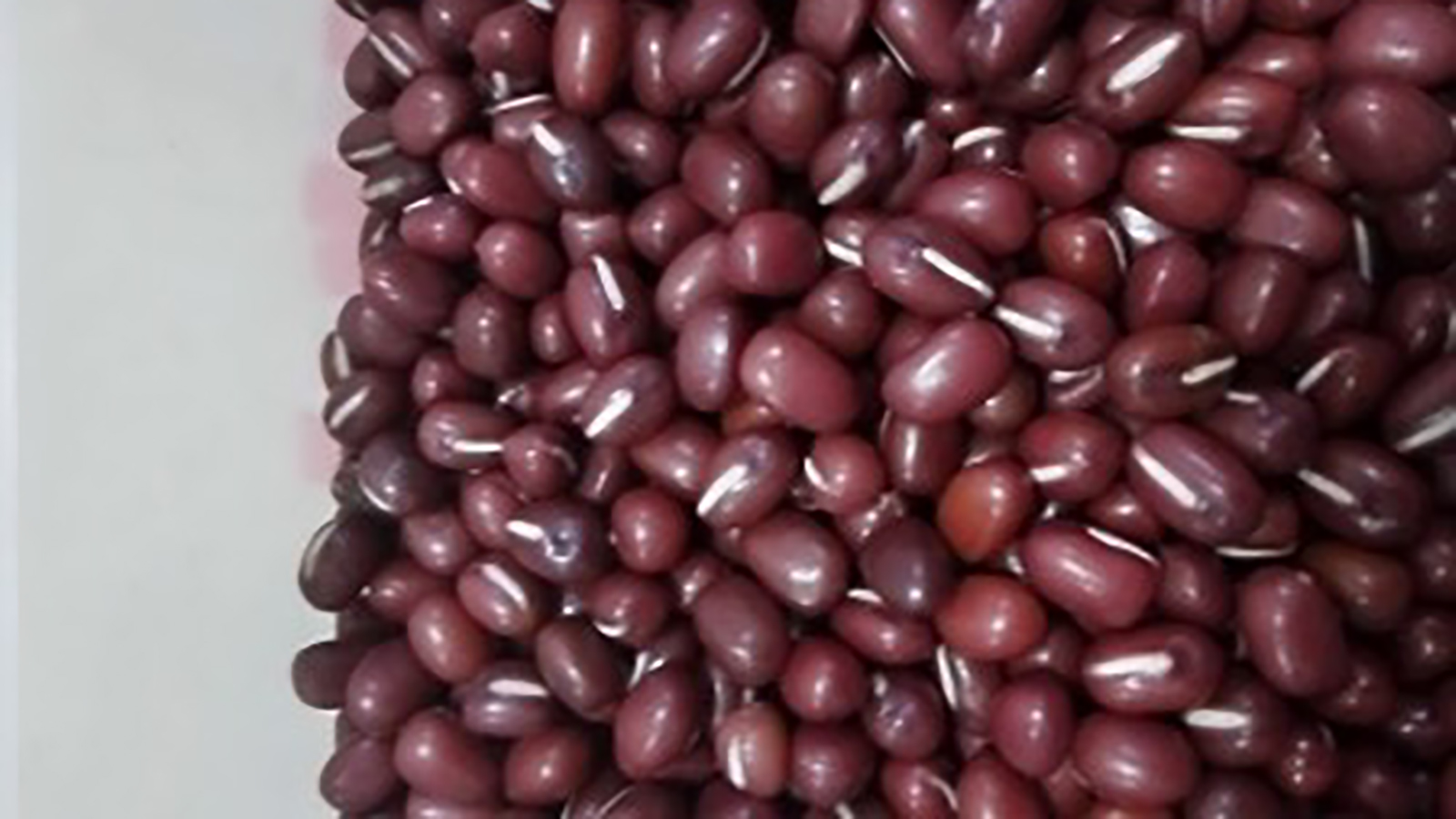 红豆怎么辨别,怎样选购正宗的红豆