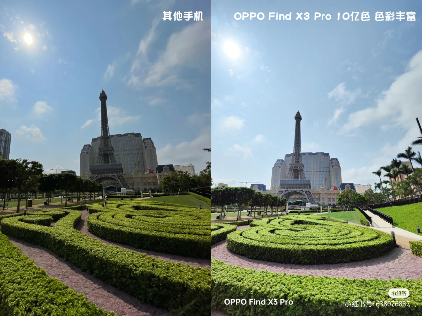 微观世界大自然,微观世界的神奇视频