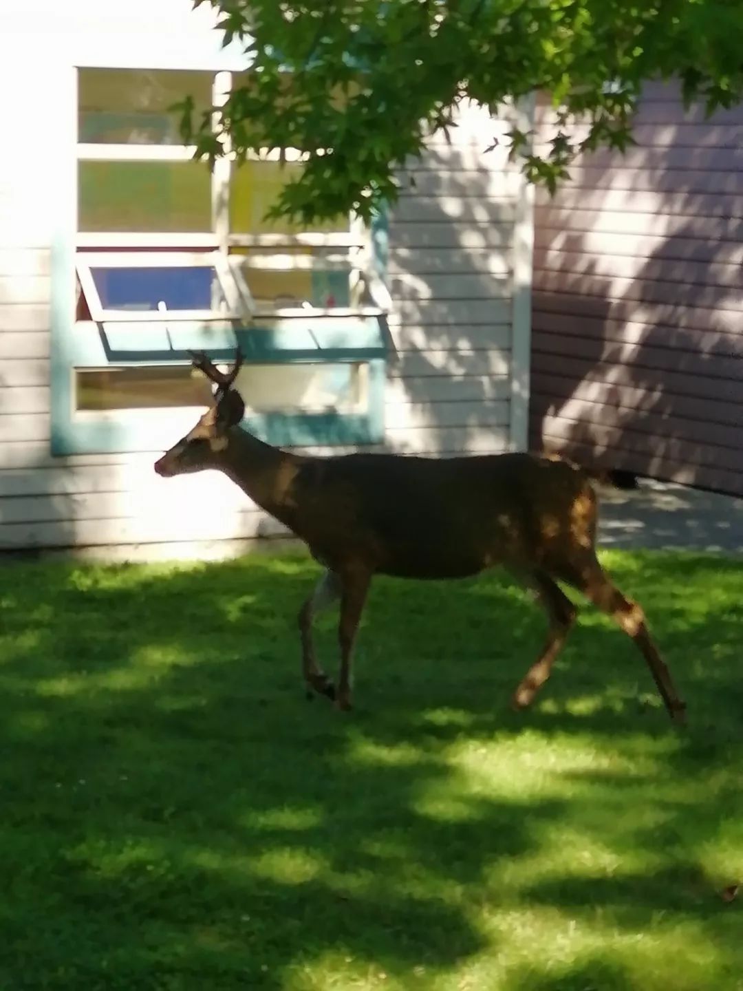 雅思半个月零基础到6分,雅思考试经验
