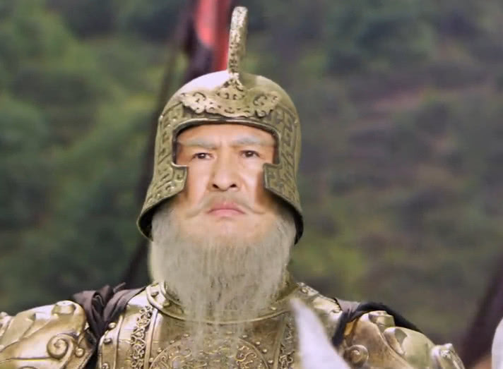 靠山王杨林在兄弟之间排第几,靠山王杨林与锦豹子杨林谁更厉害