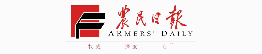 农民日报独家探访：解局“高烧”的菜价