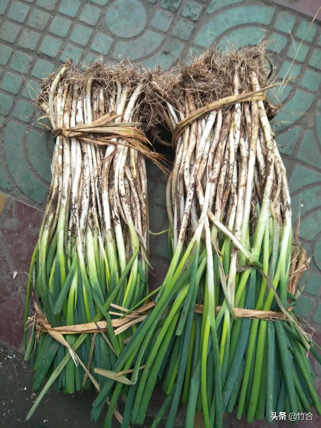 市场千变万化的句子,市场千变万化应对方法