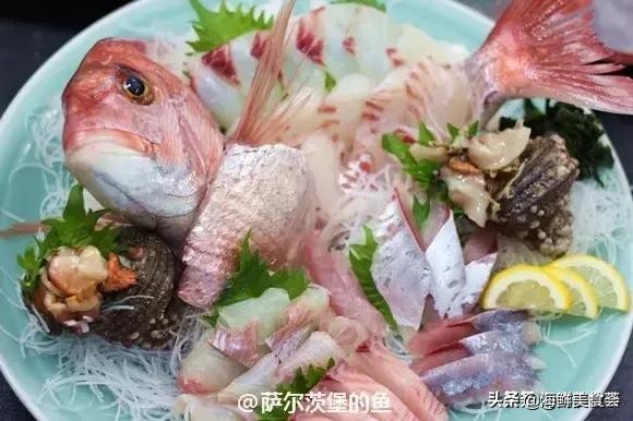 各种寿司纯鲜三文鱼刺身,日本传统寿司都用什么鱼