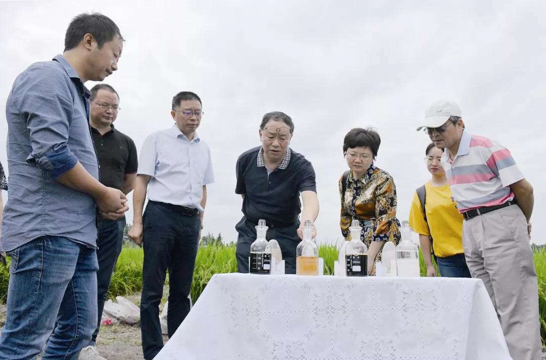 投票活动第一名是谁,投票前五名有谁