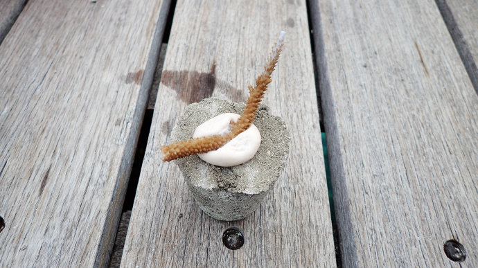 海上香格里拉金町湾,马尔代夫香格里拉隐逸的海岛天堂