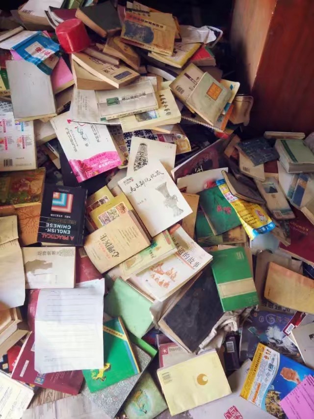 岁月流逝小说推荐,岁月流逝的书