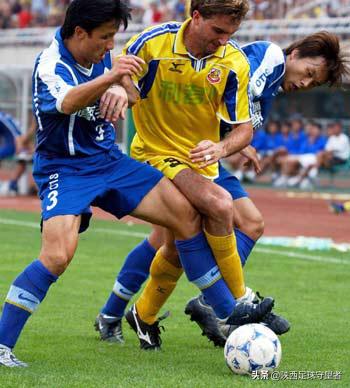 陕西国力1996年队员名单,陕西国力甲a