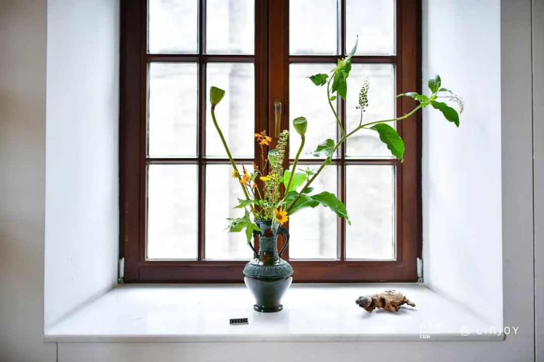 网红都来打卡了,网红都来打卡的奶茶