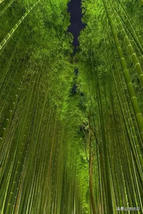 竹集成材,竹集成材料