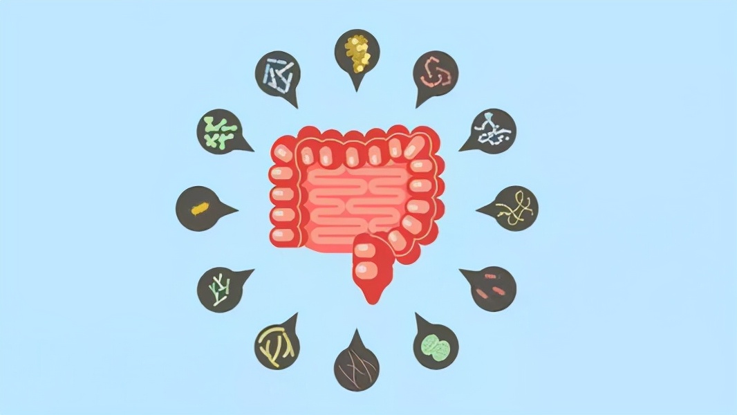 几块钱一瓶的甲硝唑，或能帮助摆平这4种病，可能多数人还不知道