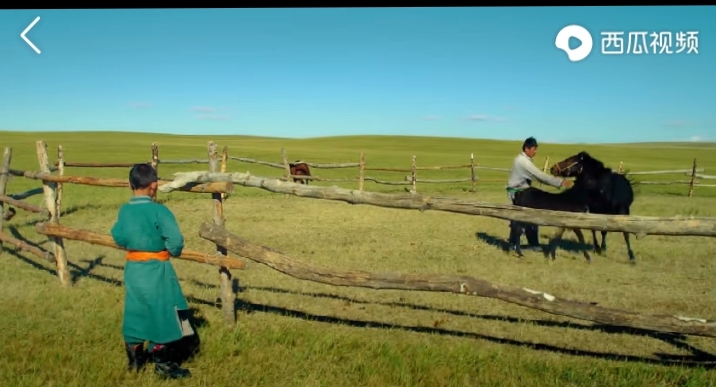 乌珠穆沁的孩子电影在线观看,乌珠穆沁的孩子怎么样