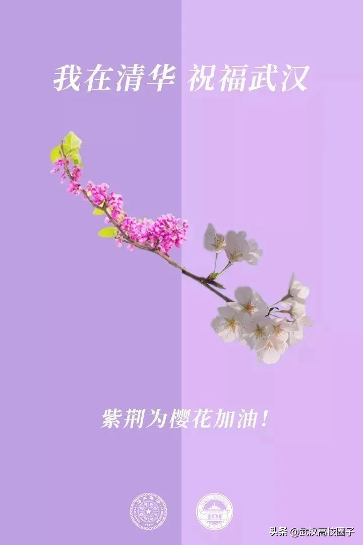 爸妈我想回家视频,爸妈我想回家了原视频